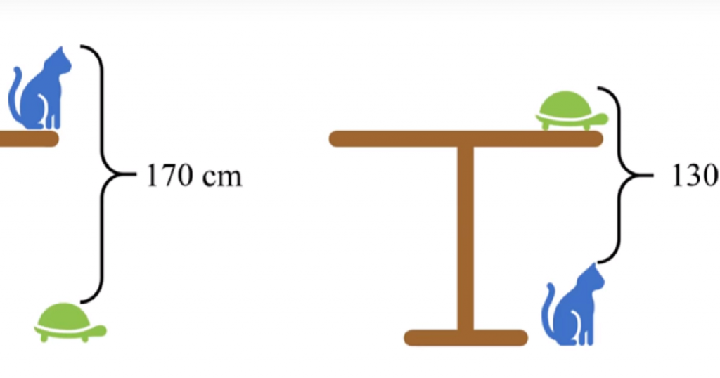 Реши задачу китай. Китайская задача про стол кота и черепаху. Решение задачи про высоту стола с котом и черепахой. Задача про кошку и черепаху на столе. Задача высота стола кот черепаха.